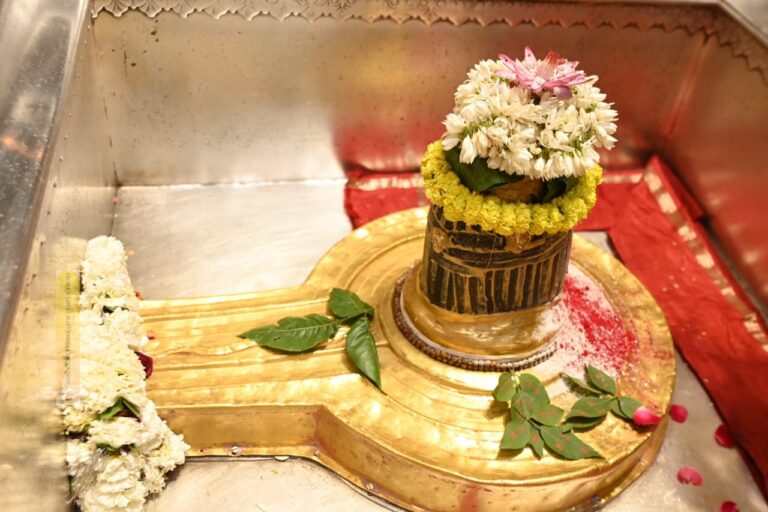 लड्डू गोपाल के गुलाल से होली खेलेंगे बाबा काशी मथुरा का होगा मिलाप