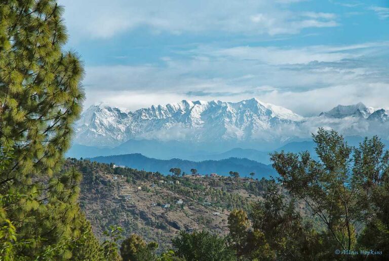 यात्रा प्रबंधन पर भट्ट ने जताया संतोष , कहा पर्यटन का स्वर्णिम युग शुरू