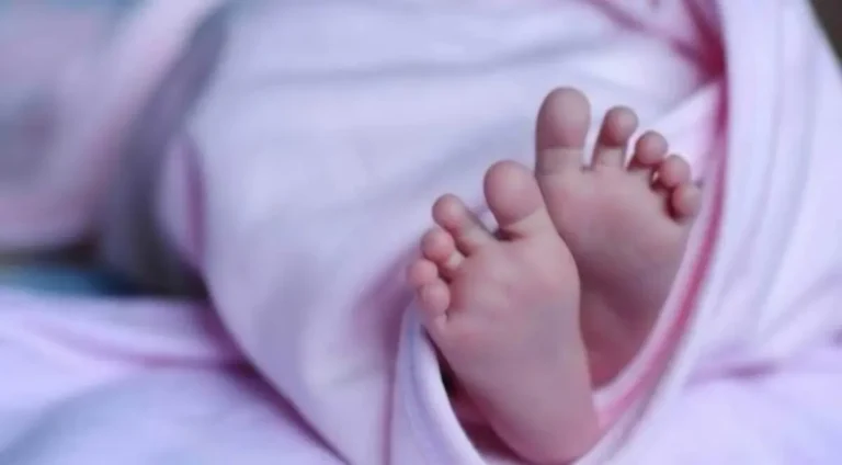 देवाल-बेराधार मार्ग पर मिला नन्हे बच्चे का सिर, पुलिस जांच में जुटी