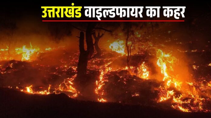 Uttarakhand Wildfire