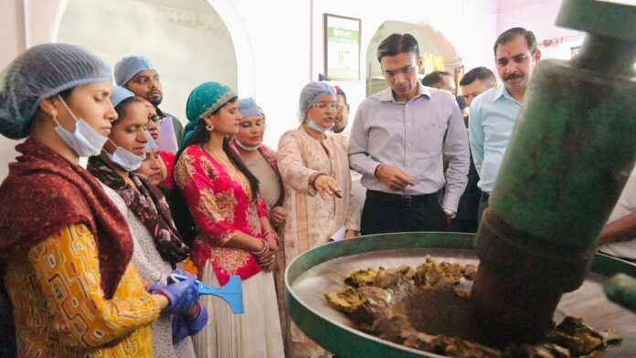 महिला स्वयं सहायता को समूहों को उपलब्ध कराया जाएगा आनलाईन बाजार
