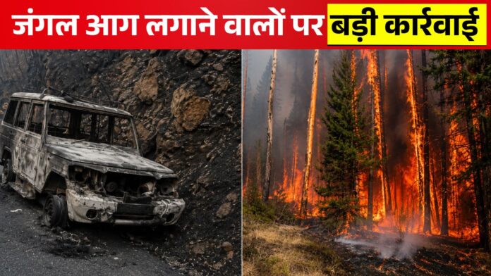 almora-forest-crime