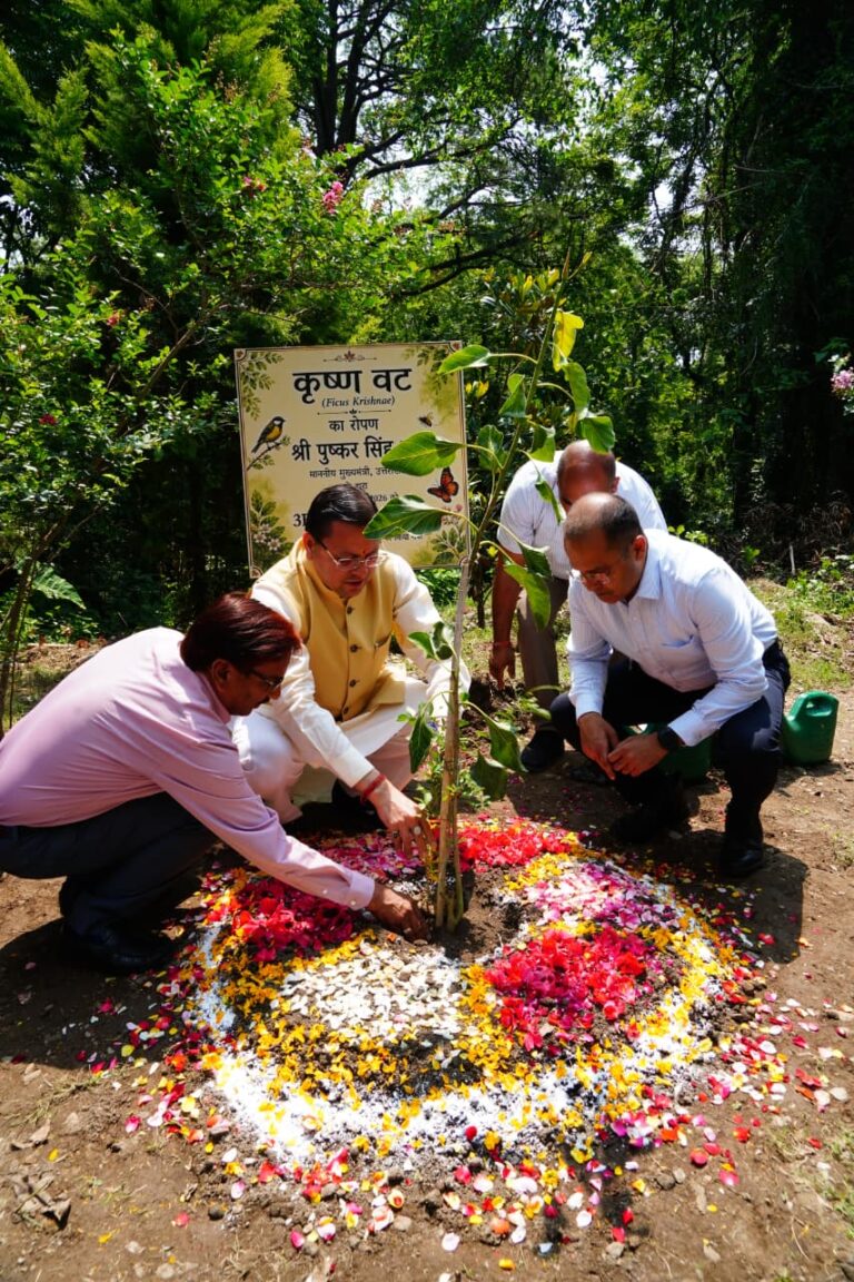 कुंभ 2027, नंदा देवी राजजात और सड़क परियोजनाओं के लिए मुख्यमंत्री ने खोला खजाना